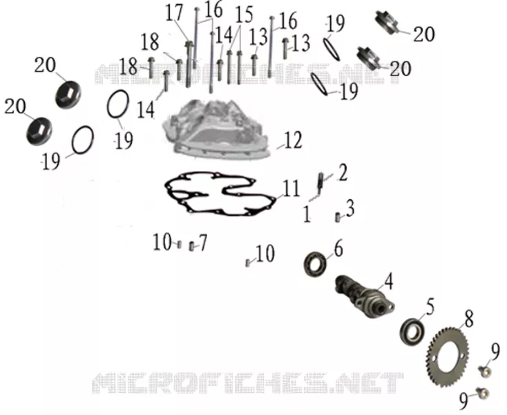 CACHE CULBUTEUR