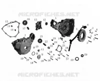 CARTER ALLUMAGE / STATOR