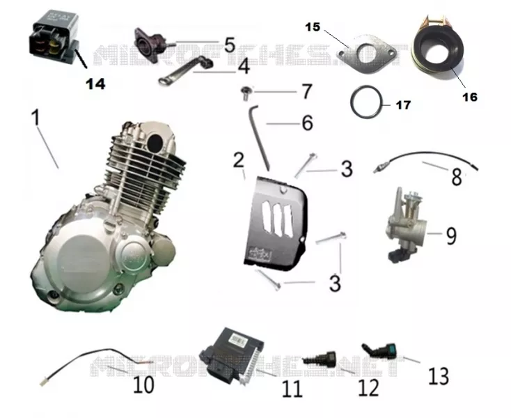MOTEUR