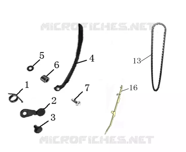 CHAINE / PATIN DISTRIBUTION