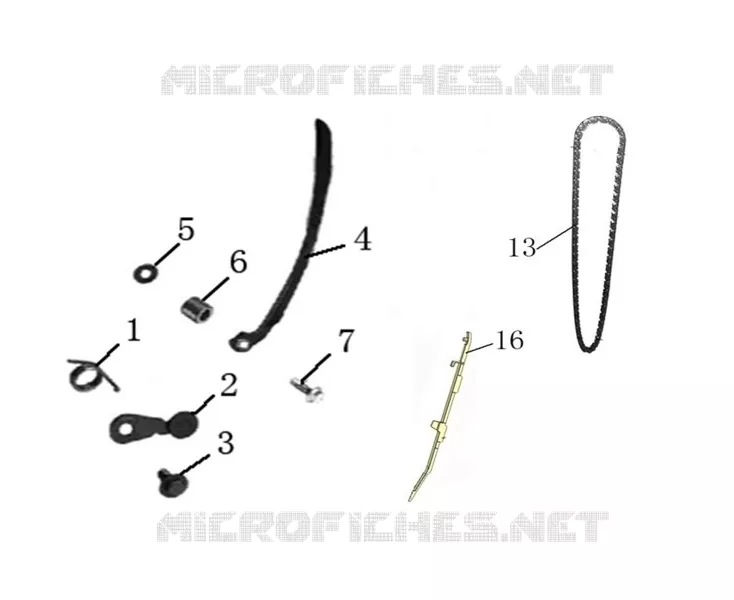 CHAINE / PATIN DISTRIBUTION