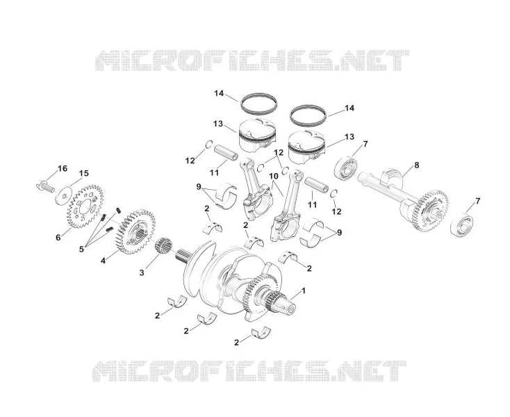VILEBREQUIN / PISTON