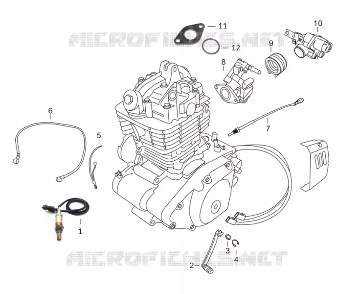 SONDE / CORPS INJECTION / SELECTEUR