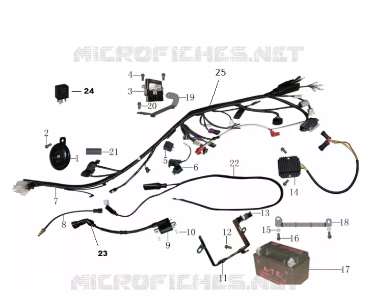 FAISCEAU Mash SIDE CAR 400 2017 FAMILY SIDE VERT  FAMILY SIDE VERT