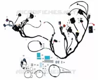 ÉLÉMENTS ÉLECTRIQUES / CABLES pour Mash BELENA 300 2024