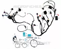 ÉLÉMENTS ÉLECTRIQUES / CABLES pour Mash BELENA 300 2024