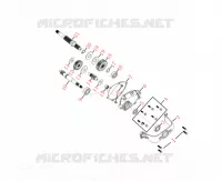 TRANSMISSION pour Mash BELENA 300 2024
