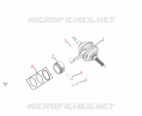 VILEBREQUIN / PISTON pour Mash BELENA 300 2024