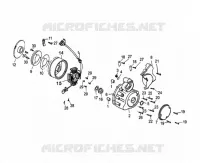 ALLUMAGE / COUVRE CARTER GAUCHE pour Mash SCRAMBLER 50 2024