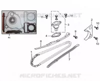 CHAINE DISTRIBUTION pour Mash SCRAMBLER 50 2024