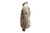 VESTE CANVAS HOMME - SABLE - TAILLE S - MASH-Mash